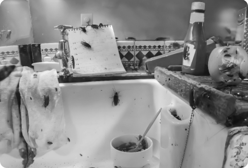 1743664482.png 黑白 1-1.png